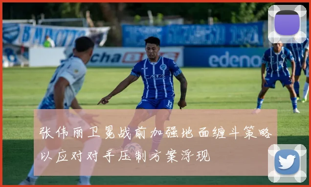 张伟丽卫冕战前加强地面缠斗策略以应对对手压制方案浮现